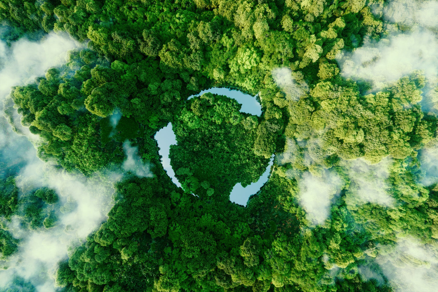 SUSTAINABILITY & RESPONSIBILITY